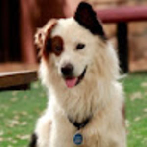 Meet your Posher, Stan from